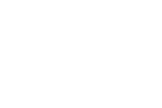 Logotipo de Dunlop blanco